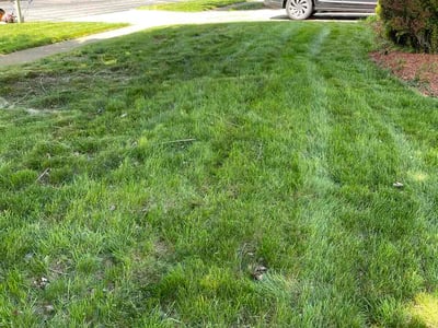 Lawn Care service in Beltsville, 20705