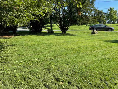 Lawn Care service in Columbia, 21044