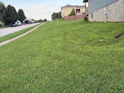 Lawn Care service in Sellersburg, 40475