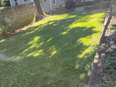 Lawn Care service in Cockeysville, 21030