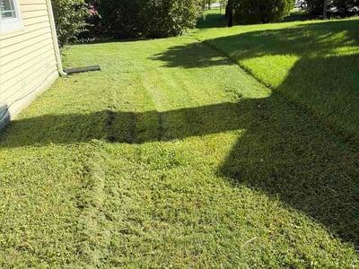 Lawn Care service in Cockeysville, 21030