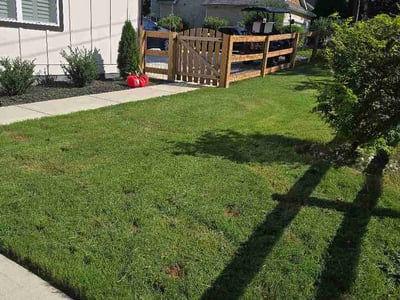 Lawn Care service in Carson, 90745