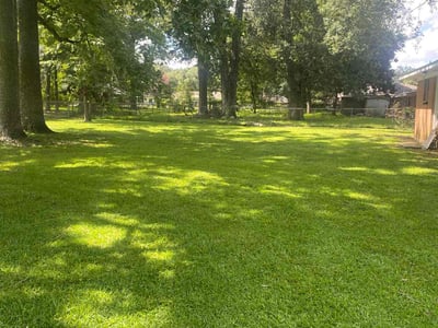 Lawn Care service in Baton Rouge, 70802