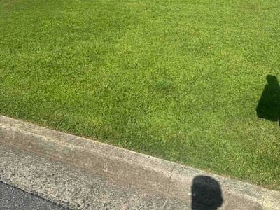 Lawn Care service in Calabasas, 91302