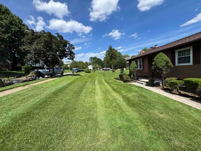 Lawn Care service in Abingdon, 21009