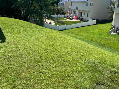 Lawn Care service in Abingdon, 21009