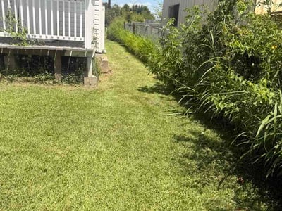 Lawn Care service in Lafayette, 70501