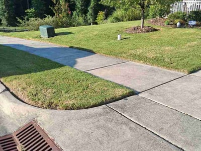 Lawn Care service in Sunnyvale, 94087
