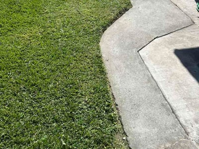Lawn Care service in Glendora, 91741