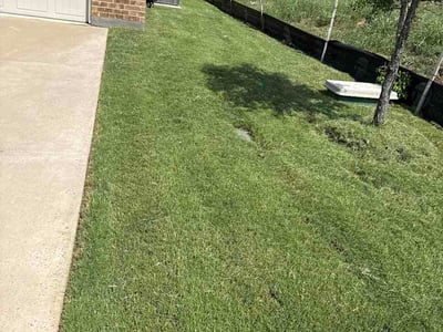 Lawn Care service in Cleburne, 76033