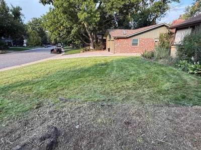 Lawn Care service in Greenwood Village, 80121
