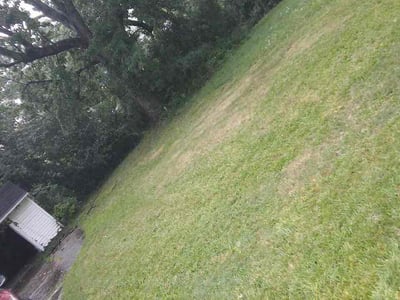 Lawn Care service in Euclid, 44123