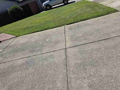 Lawn Care service in Lincoln, 95648