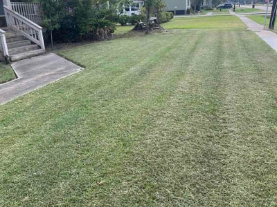 Lawn Care service in Gonzales, 70737