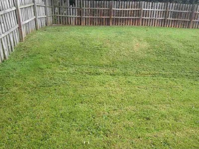 Lawn Care service in Portland, 04101