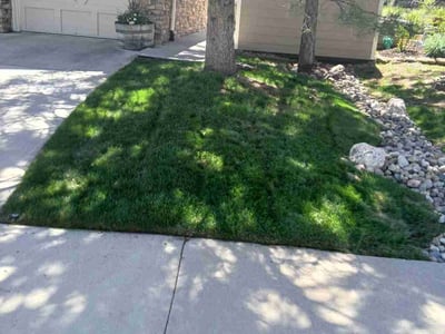 Lawn Care service in Aurora, 80011