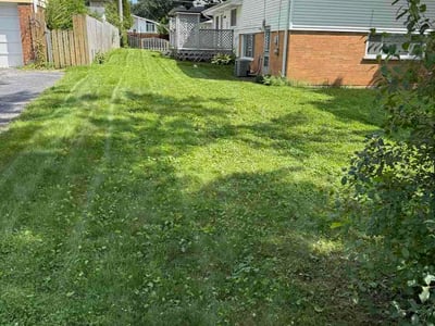 Lawn Care service in Wheaton, 60187