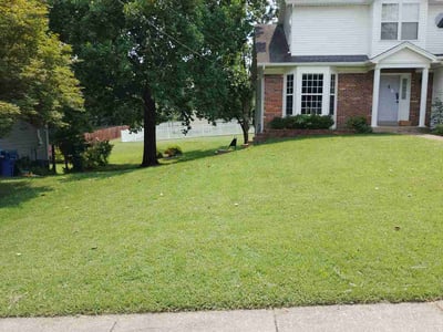 Lawn Care service in Ramona, 92065
