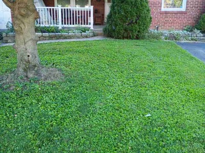 Lawn Care service in Milford, 45150