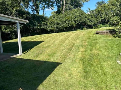 Lawn Care service in Milford, 45150