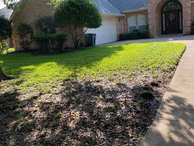 Lawn Care service in Mansfield, 76063