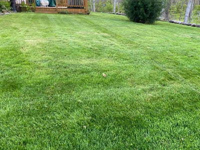 Lawn Care service in Beech Grove, 46107