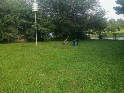 Lawn Care service in Santee, 92071