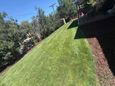 Lawn Care service in Sacramento, 95814