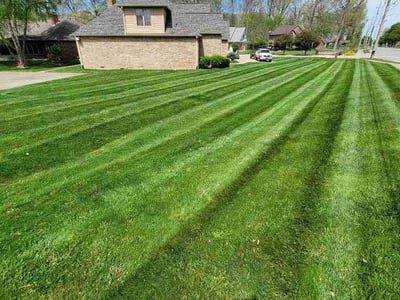 Lawn Care service in Beech Grove, 46107