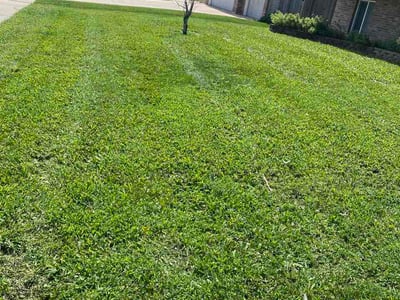 Lawn Care service in Joliet, 60432