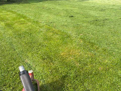 Lawn Care service in Beech Grove, 46107
