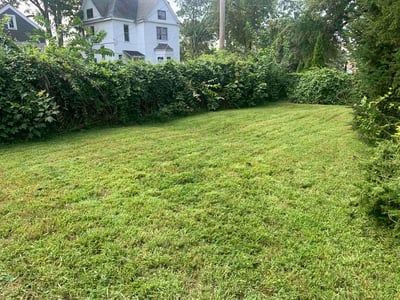 Lawn Care service in Lake Villa, 60046
