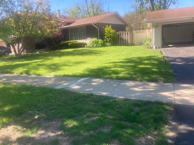 Lawn Care service in Oak Park, 60302