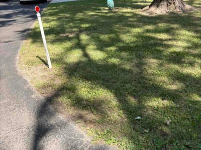 Lawn Care service in Beech Grove, 46107