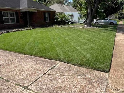 Lawn Care service in Downey, 90241