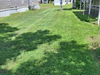 Lawn Care service in Nicholasville, 40356