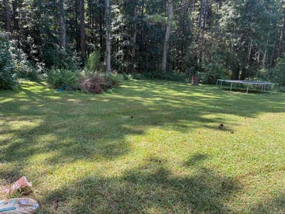 Lawn Care service in El Cajon, 92020