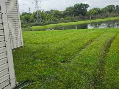 Lawn Care service in Haysville, 47546