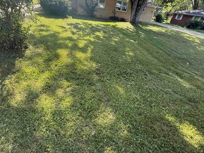 Lawn Care service in Haysville, 47546