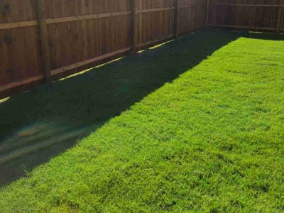Lawn Care service in Farmers Branch, 75234
