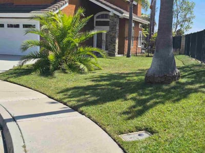 Lawn Care service in Mission Viejo, 92692