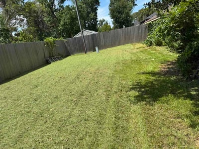 Lawn Care service in Terrell, 75160