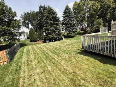 Lawn Care service in Dublin, 43017