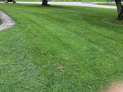 Lawn Care service in Broad Ripple, 46220