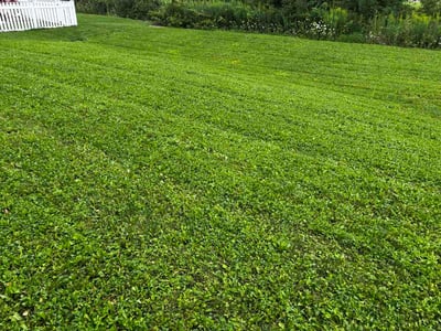Lawn Care service in North Ridgeville, 44039