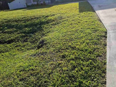 Lawn Care service in Old Orchard Beach, 04064