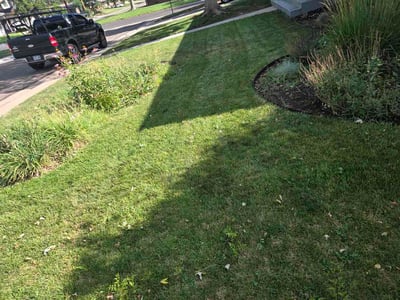 Lawn Care service in Englewood, 80113