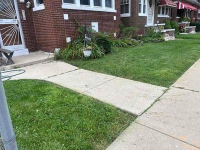 Lawn Care service in Winnetka, 60093