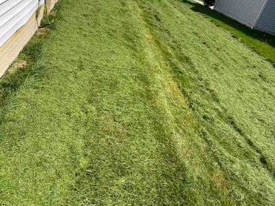 Lawn Care service in Delaware, 43015