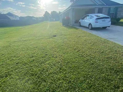 Lawn Care service in Walker, 70785